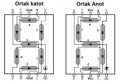 7 segment display görüntüleyici ortak anot katot