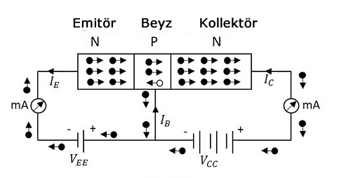 NPN Transistör Şeması
