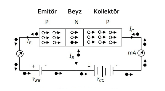 PNP Transistör Şeması