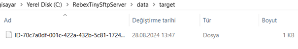SFTP Sunucusu